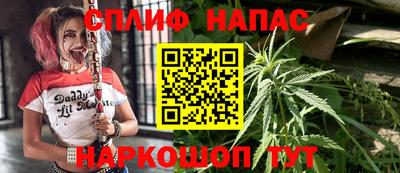 крисы Ливны