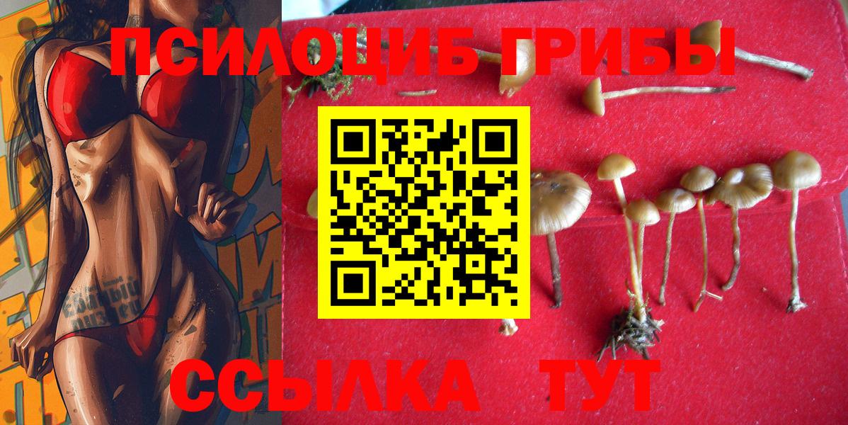 Галлюциногенные грибы Magic Shrooms  Вход с VPN  наркошоп  Псилоцибиновые грибы GOLDEN TEACHER  Калач-на-Дону 